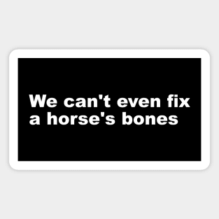 We can't even fix a horse's bones Magnet